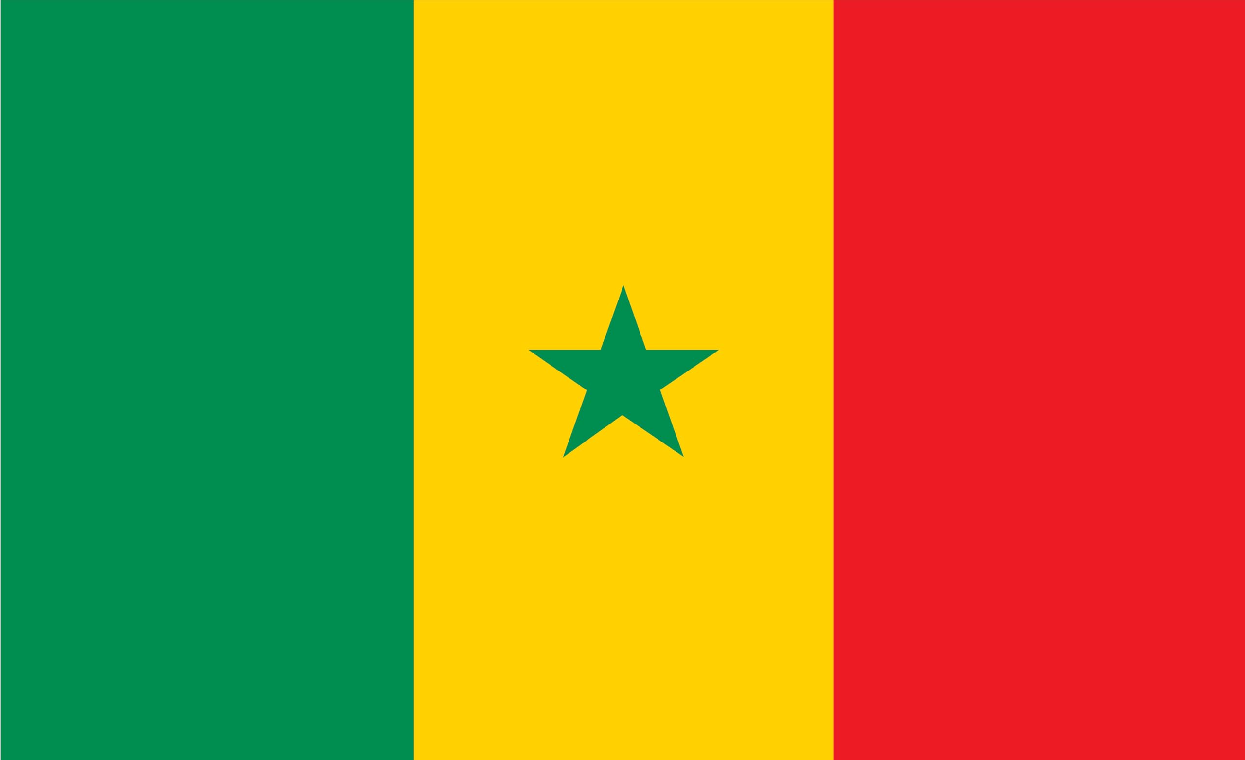 Drapeau du Sénégal anti décoloration 90 x 60 cm résistant au vent fort pour pavillon de bateau