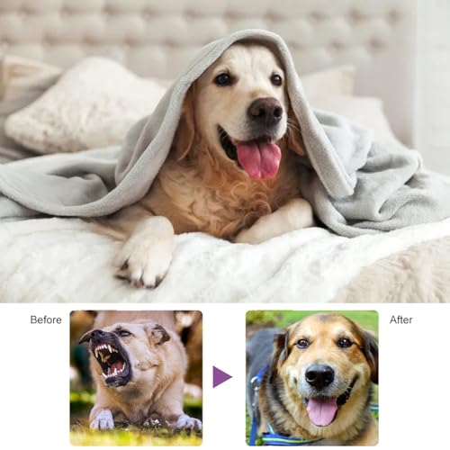 Cutiolly Beruhigendes Spray für Hunde,Tierentspannungs für Hunde,Spray Beruhigungsmittel für Hunde,Hunde Relax Spray,Beruhigendes Pheromonspray Für Hunde Katzen Haustiere