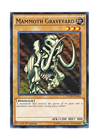 遊戯王 、ラッシュデュエル、マンモスの墓場（字レア、ノーマル）100サイズ マンモスの墓場 ノーマル JPA16 1枚の通販 青眼白龍（279853406） | magi