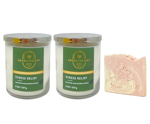 Bath and Body Works Aromatherapy Candle