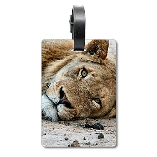 Étiquette valise lion accessoire de voyage et porte-adresse sac