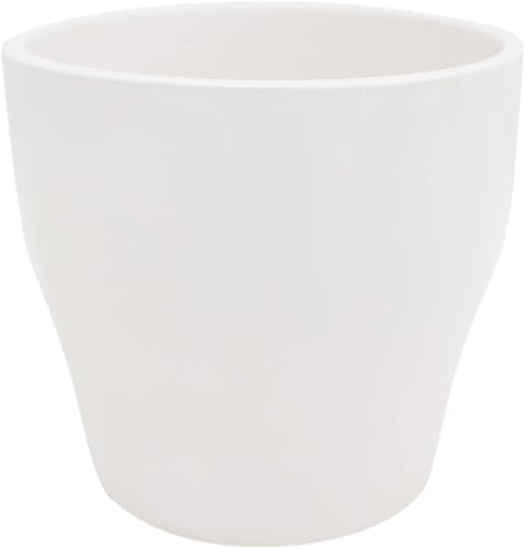 Miniatura 2 de Costa Farms, Cactus, amarillo con gemas del desierto para interiores, planta de mesa, maceta decorativa de cerámica europea brillante blanca,