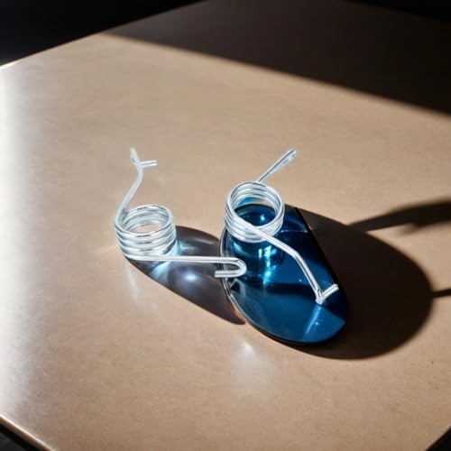 Gorgeri Muelles de Retorno de Pinza de Freno,Resistente y Duradero Mano de Obra Fina Pinzas y Accesorios Tbest,Rendimiento Estable Pinza de Freno muelles de Retorno, para Transporter V 2003-2015