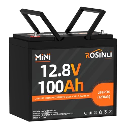 12v 100ah Mini Lifepo4 Battery Smaller Than Group 24 Built In Bms 4000-15000 ...