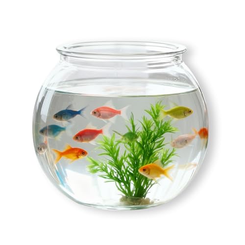 Labyrinxel Mini Plastic Fish Bowl 27 Oz Round Fish Vase for Home Decor Party Centrepiece and Hydroponic Plants