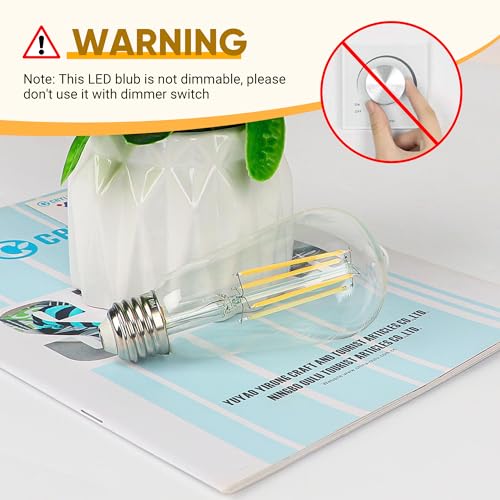 Wihtu WTBB044CN4 Led Edison Light Bulbs thumb #5