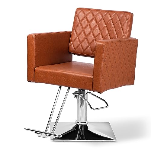 Salon Chair for Hair Stylist Salon Barber Chair,Classic Hydraulic Beauty