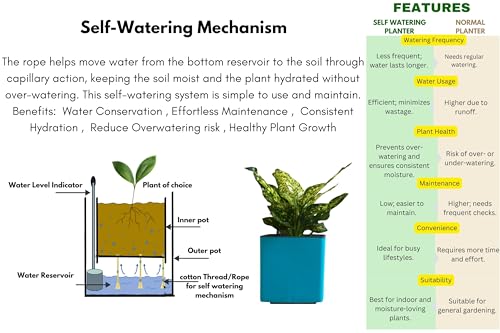 Image of Indian Discovery Self Watering Tabletop Planter| Flower Pots for Home, Terrace, Balcony, Vertical Garden Decor Flower Pots(1 PC, Sea Green, Square) |6 Inch UV-Resistant Plastic Plant Pots