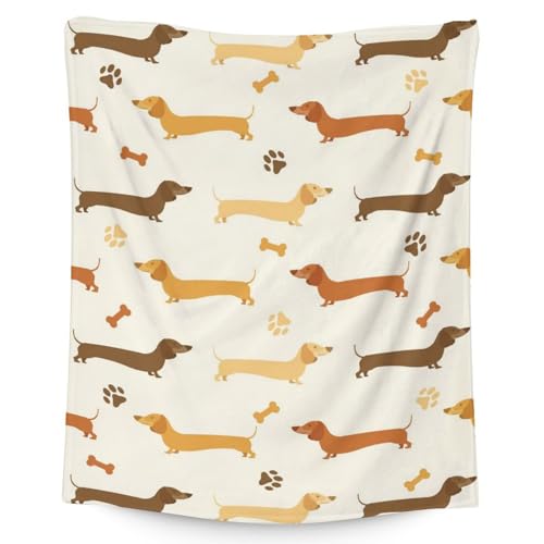 Dachshund Throw Blanket for Teen - 50x60 Inches Throw Size - Soft Fluffy Cozy Blankets Gift - Beige Cute Blanket Throws for Living Room Decorative