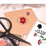 Zoom IMG-1 woohome 85 pz naturali pressati Zoom IMG-1 woohome 85 pz naturali pressati