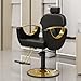 LOUVIXA Barber Salon Chair for Hair Stylist, Height Adjustable Hydraulic Hair Reclining Salon Chairs, 360 Degrees Rotation, Multi-Function Shampoo Chair for Barbershop (Modern Black)