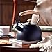 HGRVUTCFI Stove Top Whistling Kettle 3L Heating Water Whistling Kettle, Stainless Steel Tea Pot Iron Tea Maker Infuser Anti-Heat Wooden Handle, Hot Water Kettle for All Stovetops Kettle