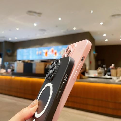 Étui mat de chargement sans fil résistant aux rayures iPhone 13 Pro