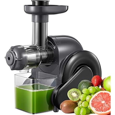 hhnn Juicer Machine, Slow Masticating Juicer with Quiet Motor, Reverse Function for Fresh Healthy Fruits and Vegetables Juice, Easy to Clean with Brush Cover