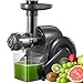 hhnn Entsafter Slow Juicer, Entsafter Gemüse und Obst BPA-frei, Profi Langsam Entsafter, 150W Leiser Motot, Leicht zu Reinigen