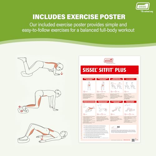 Image of SISSEL SITFIT 14in Black | Active Sitting & Training | Strengthens Back & Pelvic Floor Muscles | Versatile Use: Legs & Veins | Adjustable Pressure | Includes Exercise Poster