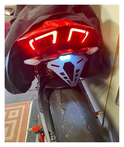 Support de plaque moto pour Ducati Panigale, fixation acier anti-vibration