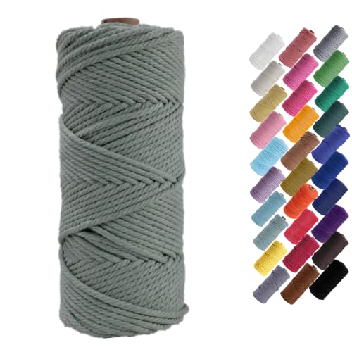 Binwat Cordon en coton naturel pour macramé - Pour suspension murale, suspension de plantes, travaux manuels, tricot, projets décoratifs - 3 mm x 100 m Cover