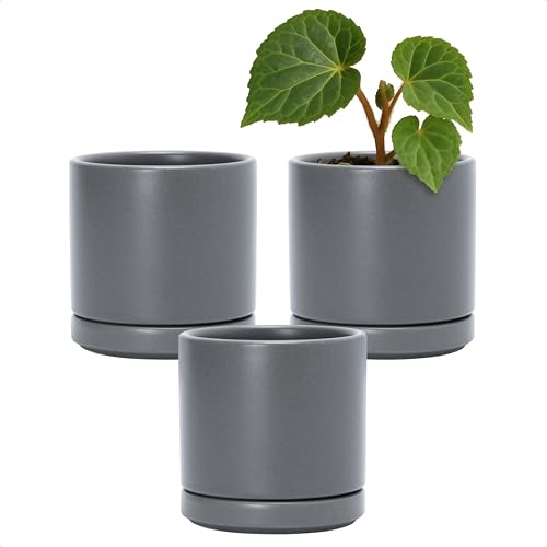 D'vine Dev 3-Pack Ceramic Pots with Saucers, Grey, 3.5 in, 94-N-A-3