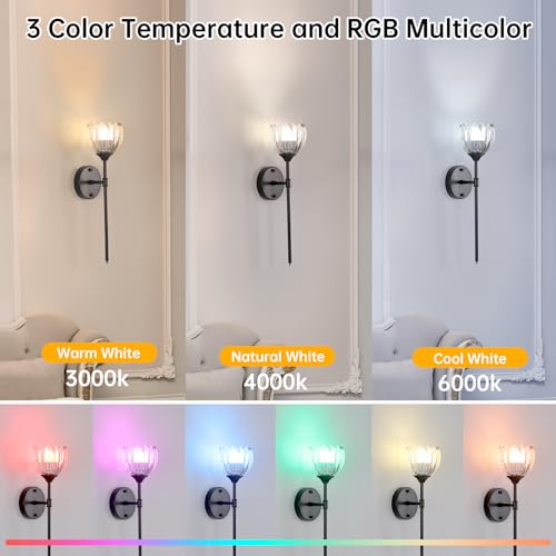 Image of Shenmoyl Battery Operated Wall Sconce Set of 2, Clear Tulip Vintage Wall Light Fixture Rechargeable 5000mAh Battery Powered Wall Lamp with Remote for Living Room Bathroom, Black