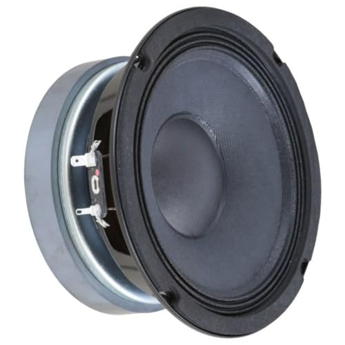 Venduto singolarmente; Woofer da 16,5 cm di diametro (6,5