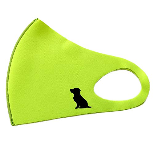 [luz] { }XN  |Cg _bNXth VGbg R ₷  킢 􂦂 KO-17t@bV