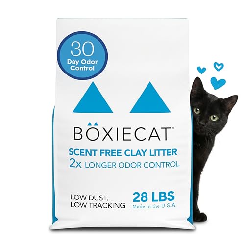 Boxie Unscented 30 Day Odor Control Clumping Clay Cat & Kitty Litter 28 lb, 99.9% Dust-Free, Hard Flat Top Clumps, No Fragrances No Fillers, Long-Lasting, Easy to Scoop