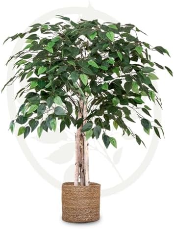 Amazon.de Maia Shop Ficus Kunstpflanzen Künstlicher Baum Maße