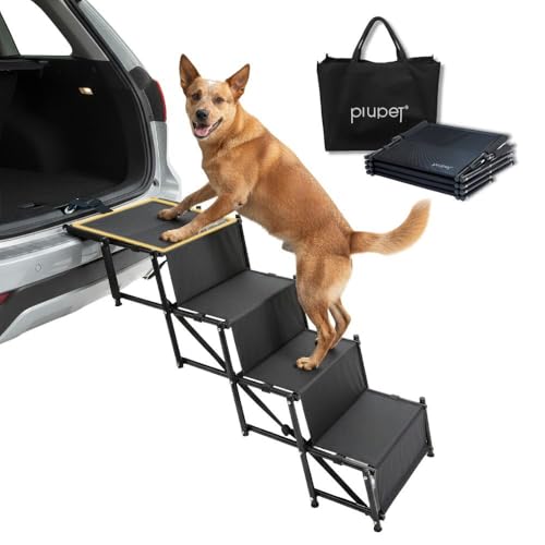 Best Folding Indoor Pet Ramp