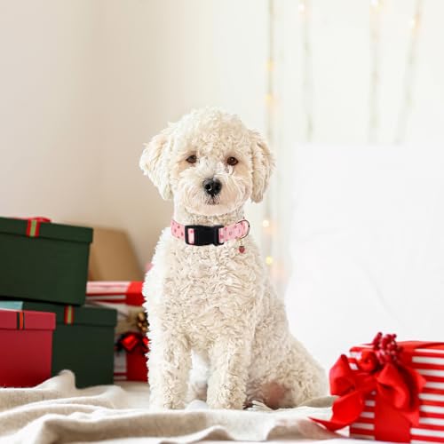 Image of Pink Strawberry Pattern Dog Collar with Buckle Adjustable Safety Nylon Collars for Small Medium Large Dogs, Cute Stylish Girl Boy Christmas Dog Collar (Pink Strawberry,L