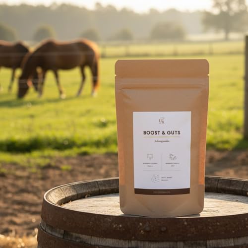 Complément ashwagandha probiotiques Boost & Guts contre le stress digestif et la fatigue