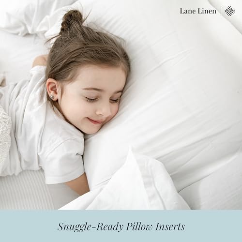 LANE LINEN 12x20 – Pack of 2 White, for Sofa and Bed, Fluffy Inserts for Throw Pillow Covers, Ideal as Throw Pillows for Bed, Couch and Outdoor Settings