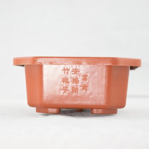 4 Rectangular Dark Orange Plastic Bonsai Training Pots 7"X 5.5"X 2" #TOP5