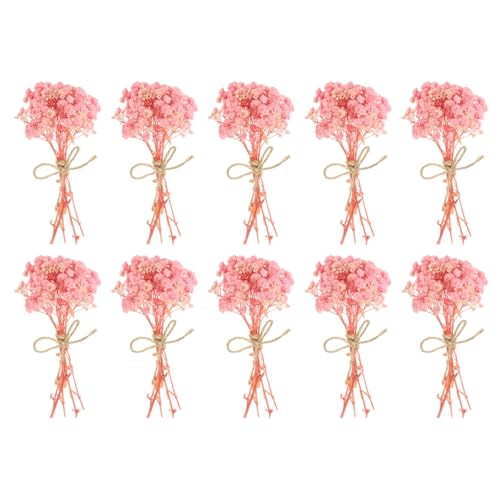PATIKIL Mini Dried Flower Bouquet, 10 Pcs Baby's Breath Natural Wildflower with Stem Decor Boho Floral Plant Flower for Crafts DIY Photo Props Gift Wedding Decor, Light Pink by PATIKIL - Used condition - CA$4.76