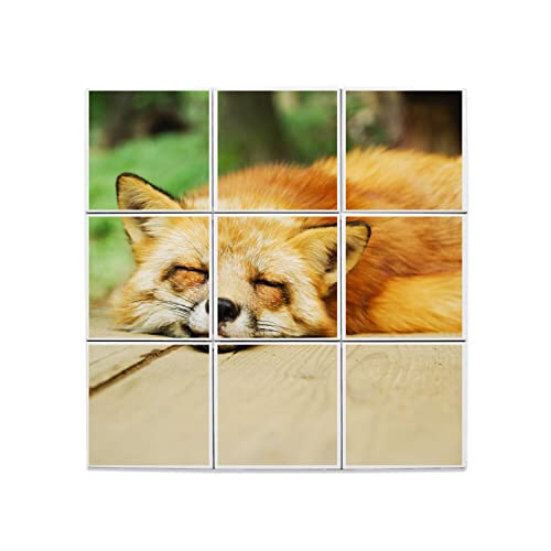 Carreaux céramique décoratifs 15,2x15,2 cm fresque murale renard pour décoration forêt