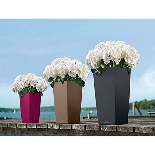 Lechuza 13164 Cubico Color 22-(16 Inches Tall) Garden Indoor And Outdoor Use, Slate Matte Self Watering Planter, 16" #TOP6