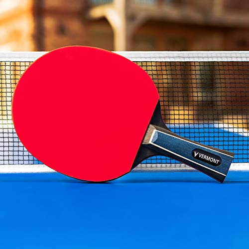 Raquette table tennis avec sac pour protéger les revêtements de la poussière