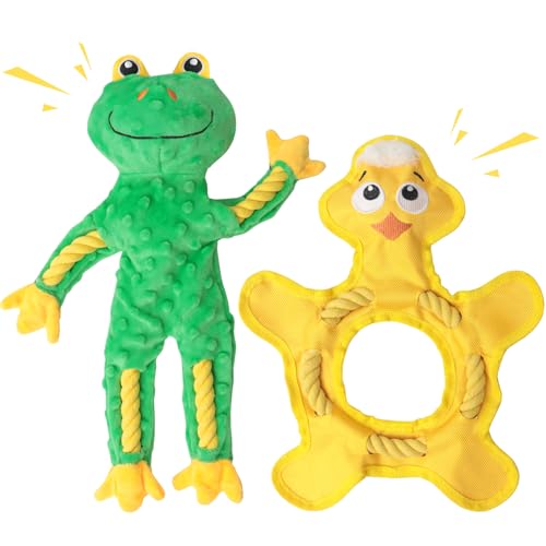 HUGEME ̂ŖZ܂傤BtVV̍jC^NeBu[v̂A^^p̂ފ݂B