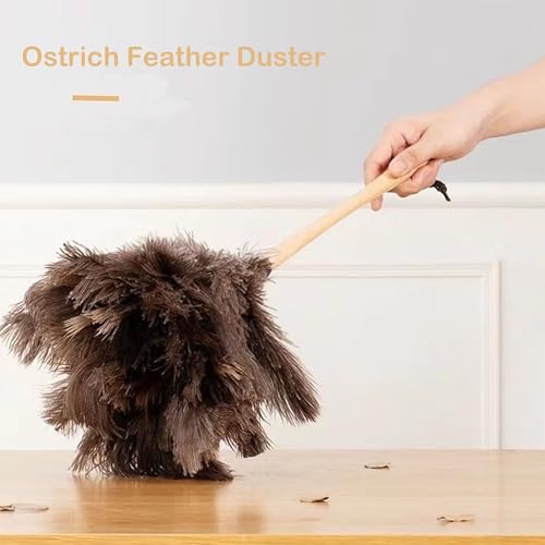 Image of Ostrich Feather Dusters, Naturally Soft, Easy to Dust, Multi-Purpose Use, Solid Wood Handle, 17.3'' Long, Gray