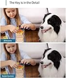 Zoom IMG-1 eufy security indoor cam 2k Zoom IMG-1 eufy security indoor cam 2k