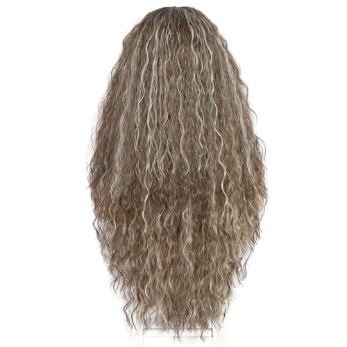 Sapphirewigs Highlights Curly Lace Front Wig Ombre Grey Synthetic Wigs for Women 13x3 Daily Wear Party Christmas Halloween Heat Resistant 26 inch - Image 2