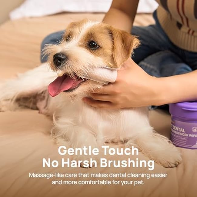 HICC PET Dog Dental Wipes & Cat Toothbrush and Toothpaste Alternative, Teeth Cleaning Wipes for Dogs & Puppies, Remove Plaque & Tartar, Fresh Breath Oral Hygiene, Pet Oral Care Wipes, 50 Count-N05oq7Ux