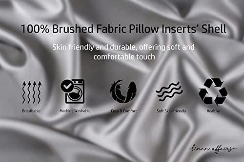 Image of Microfiber Pillow Set of 2 for Sleeping - 16x24 Inches, Light Grey and White