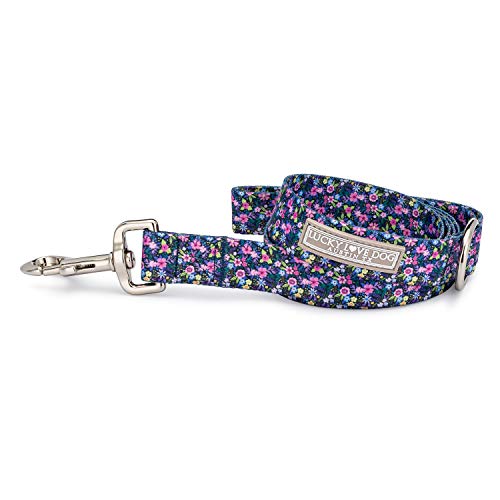 Lucky Love Dog | Soft, Durable, Cute Female Dog Leash for Walking and Training - Small Medium Large Dogs - Black & Purple Primrose Floral Print, Small