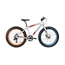 roulik avalanche 38.0 price