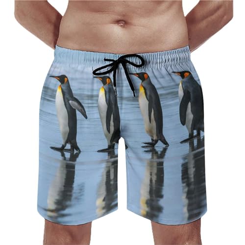 Shorts de bain homme pingouin maillot de bain séchage rapide taille S