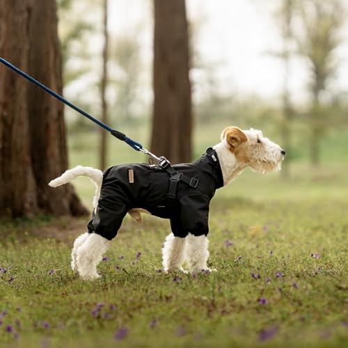 PAWBOSE Hunderegenmantel mit Geschirr für kleine und mittlere Hunde, verstellbare wasserdichte Hunderegenjacke, reflektierender regenfester Welpe 4 Beine Regenmantel Schwarz, L