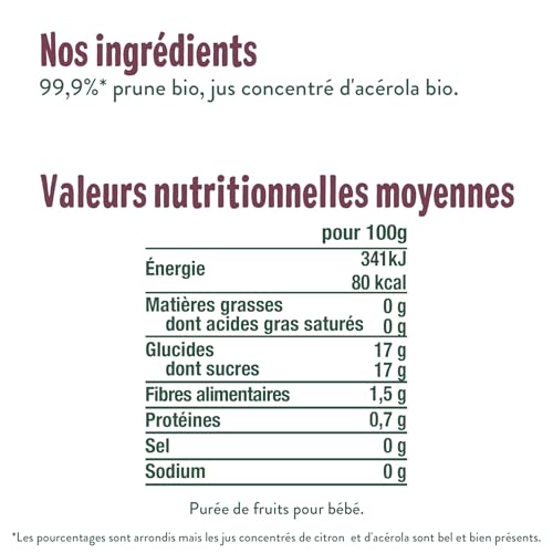 GOOD GOÛT - Gourdes Prune - Purée Bébé - Dès 4 Mois - 99,9% Prune - Sans Sucres Ajoutés - Fabriqué En France - 10x120g – vue 2