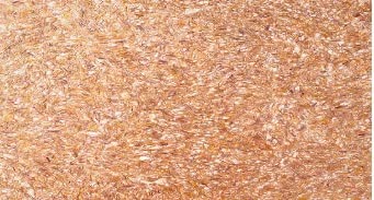 JK Protomax Fibrotek Latex Wall Covering (2Kg) for New Age Decorative Walls, New and Convenient Alternative to Wall Paper