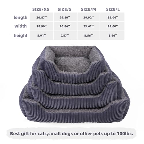 TWDEPART Orthopädisches Hundebett für mittelgroße Hunde, waschbares Plüsch-Hundesofa mit Cordbezug, rutschfest, Grau, 89 x 63 cm